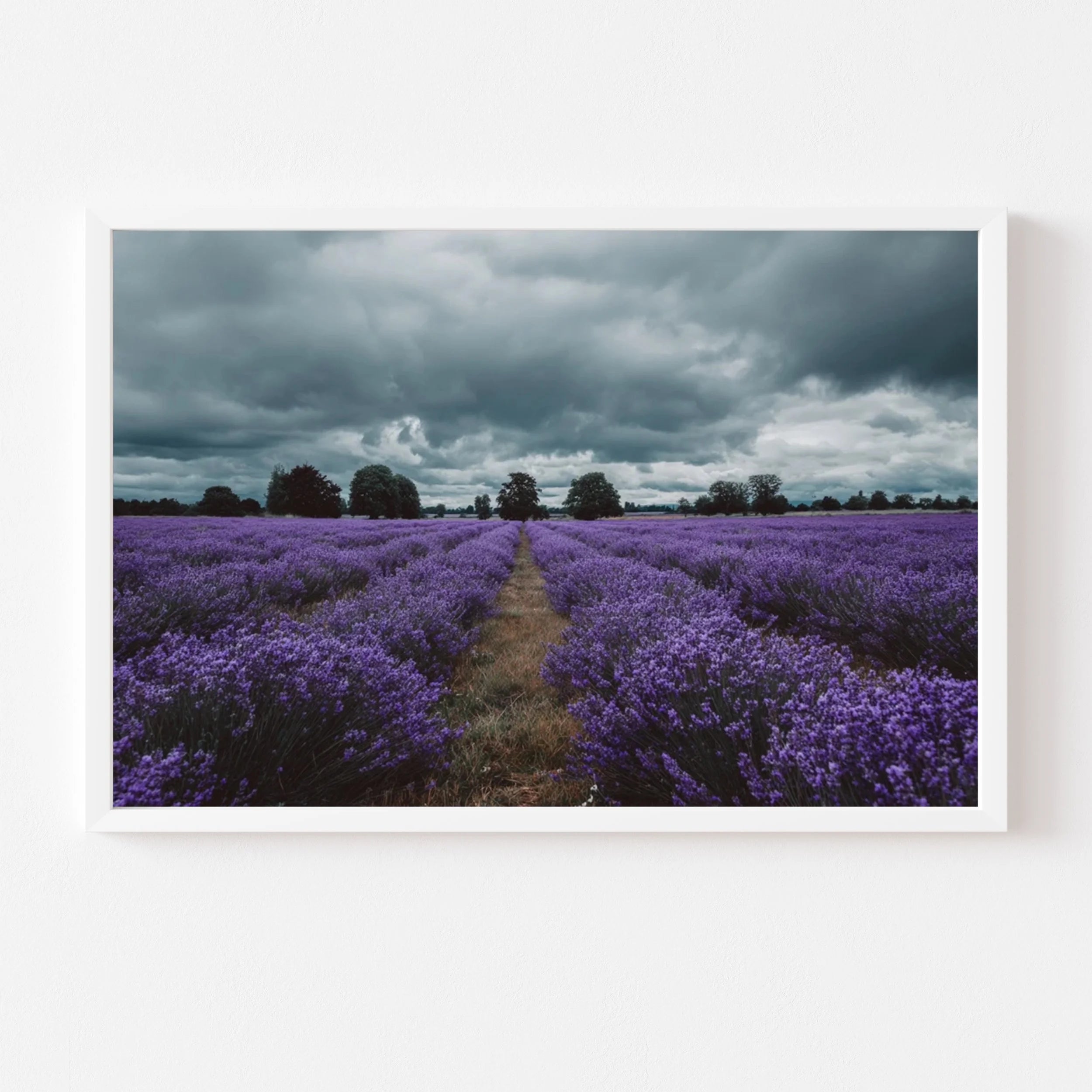 In my Dreams art print by Somewhere Velvet