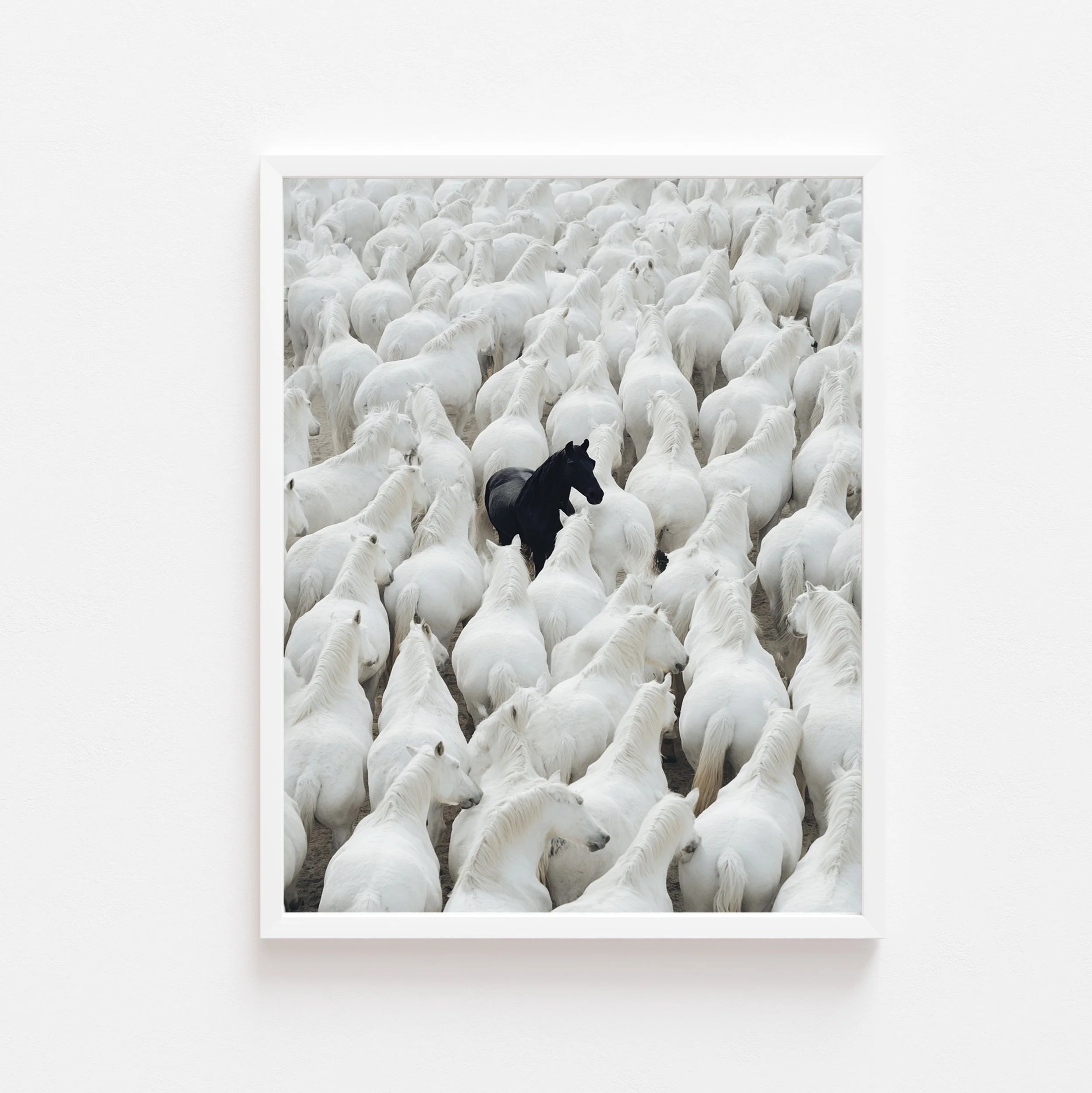 Stallion art print by Somewhere Velvet