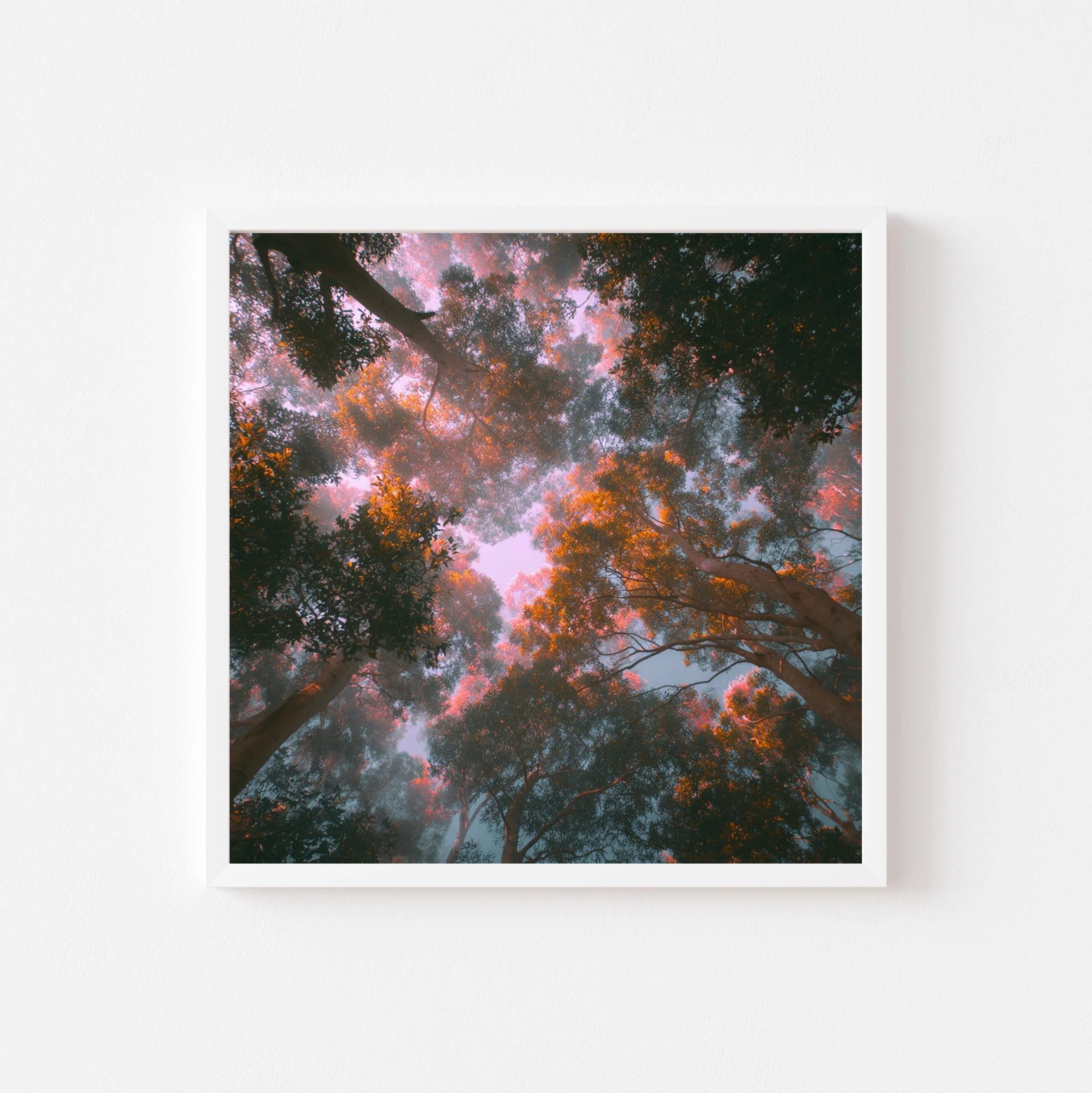 Magical Morning art print by Somewhere Velvet
